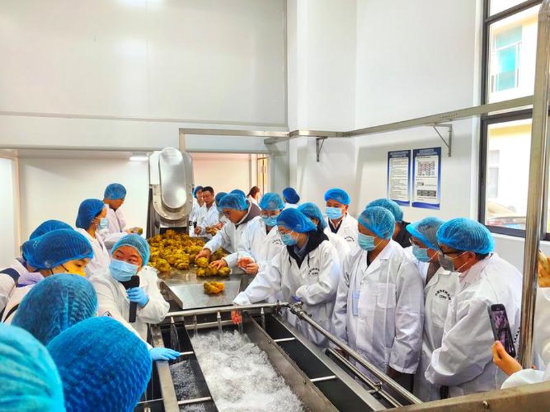 食品技术研发引领产业变革