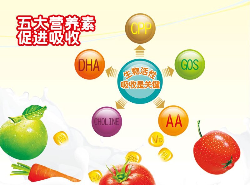健康食品生产：行业的现状与未来